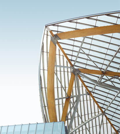 Expertise in Complex and Challenging Projects